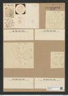 Actinoptychus moronensis (Grev.) Cleve (de-Toni-Nr.: Genus 227, Species 5533) Zeichnungen Sammlung Grunow Nr. 9564 (NHMW-BOT-W0379371)